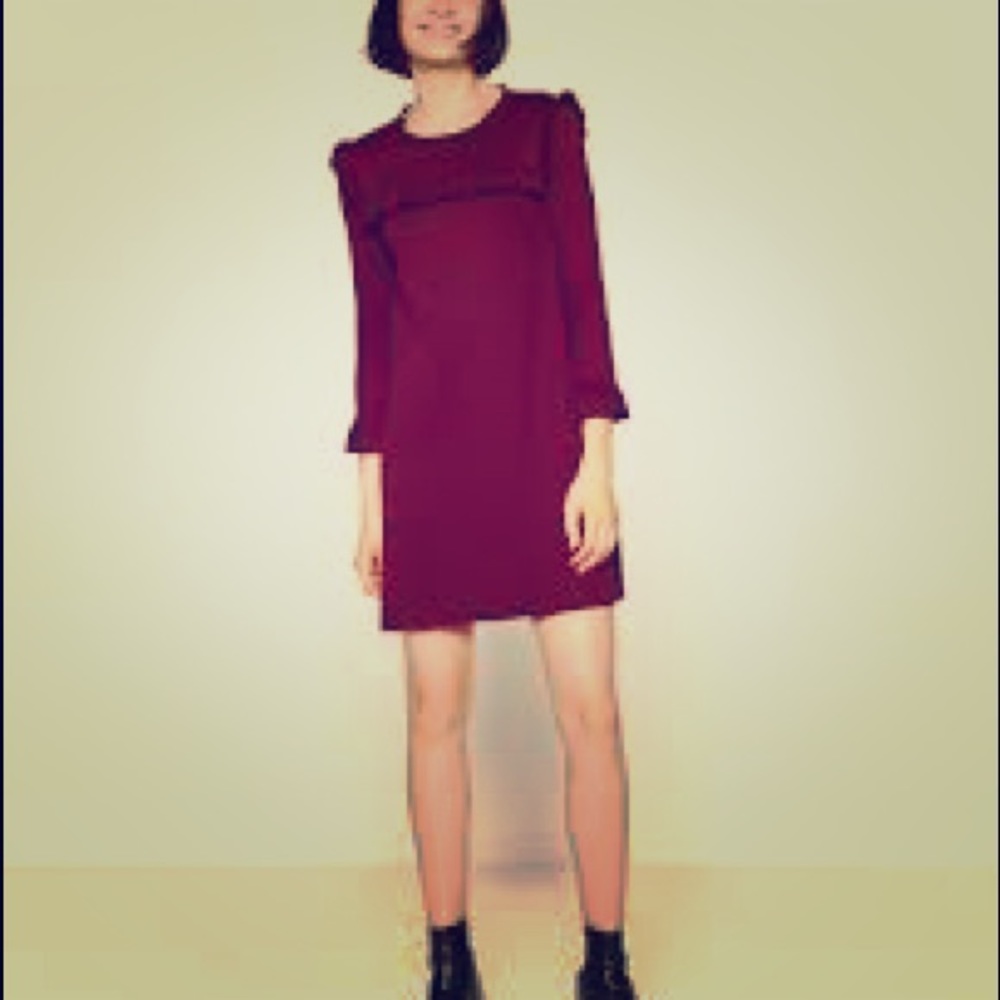 Zara Burgundy Dress with Ruffles